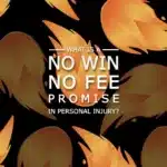 NO WIN NO FEE PI Promise