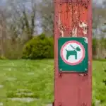 Texas Leash Laws